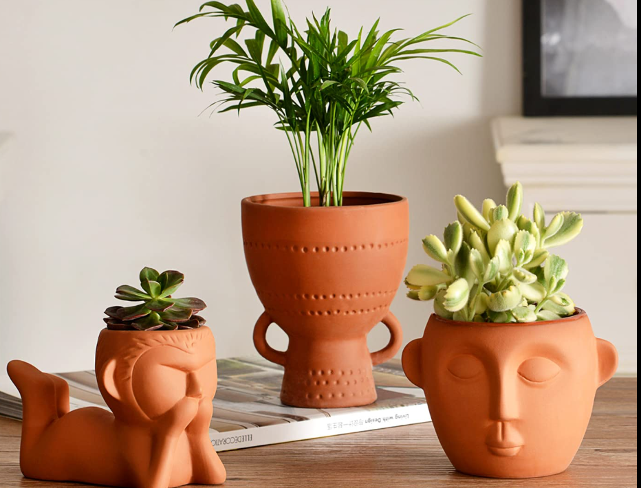 Terracotta Pot